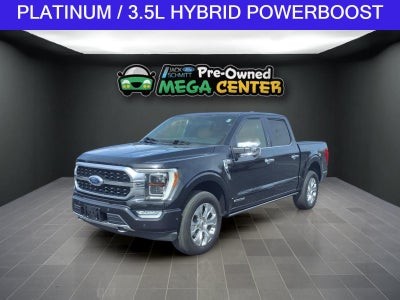 2021 Ford F-150 Platinum