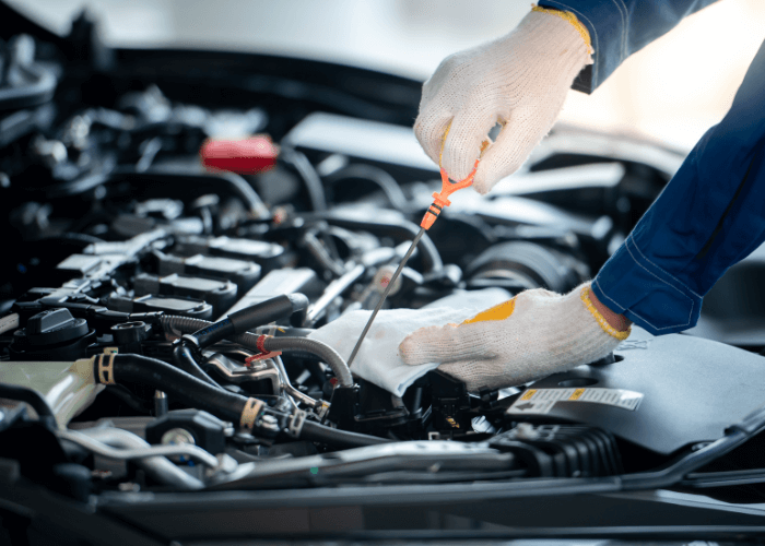 oil change belleville il